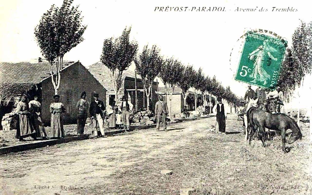 1192- Prevost-Paradol Avenue des Trembles.jpg